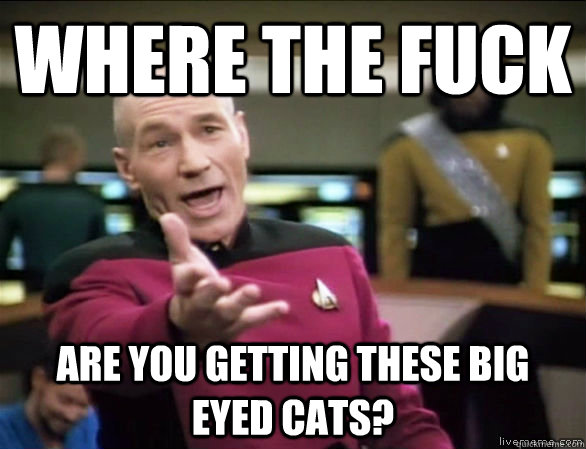 where the fuck are you getting these big eyed cats?  Annoyed Picard HD