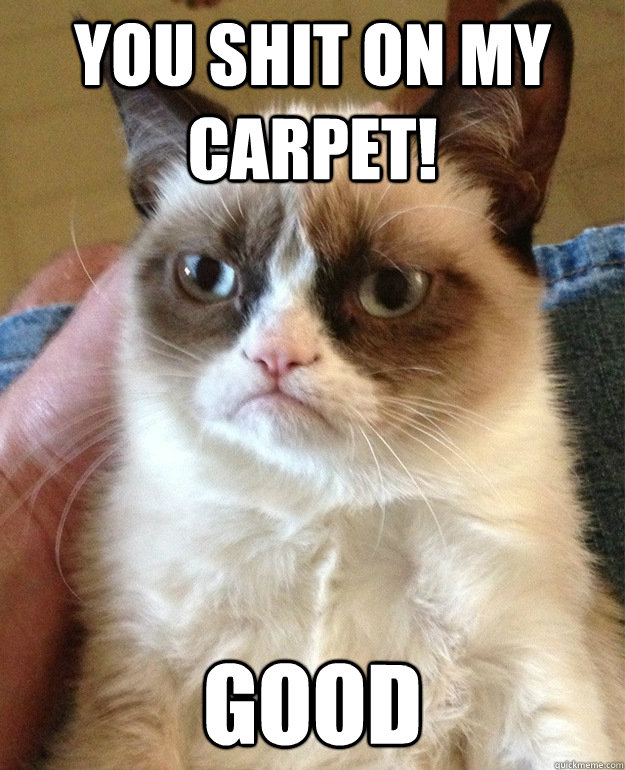 You shit on my carpet! Good  grumpycat