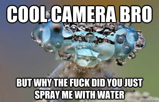 cool camera bro but why the fuck did you just spray me with water - cool camera bro but why the fuck did you just spray me with water  Misc
