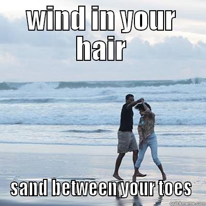 WIND IN YOUR HAIR SAND BETWEEN YOUR TOES Misc