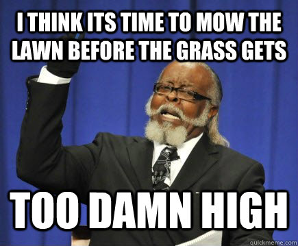 I think its time to mow the lawn before the grass gets too damn high  Too Damn High