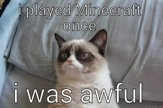 I PLAYED MINECRAFT ONCE I WAS AWFUL Grumpy Cat