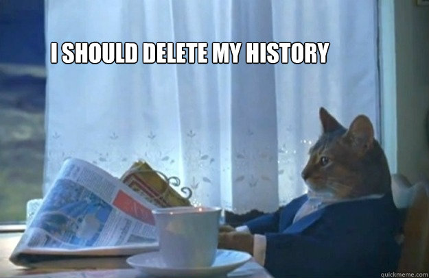 I should delete my history - I should delete my history  Sophisticated Cat