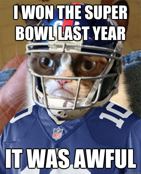I won the super bowl last year it was awful - I won the super bowl last year it was awful  Misc