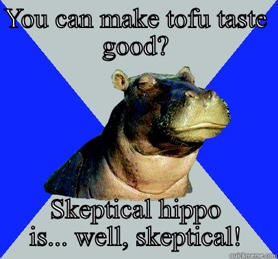 Tofu hippo  - YOU CAN MAKE TOFU TASTE GOOD? SKEPTICAL HIPPO IS... WELL, SKEPTICAL! Skeptical Hippo