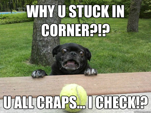 Why u stuck in corner?!? U all craps... I CHECK!?  Berks Dog