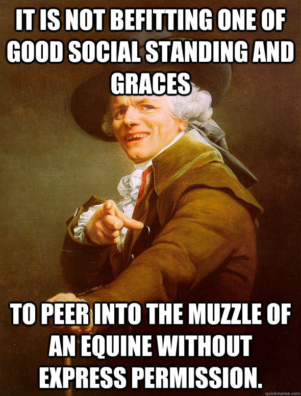 It is not befitting one of good social standing and graces to peer into the muzzle of an equine without express permission.  - It is not befitting one of good social standing and graces to peer into the muzzle of an equine without express permission.   Joseph Ducreux