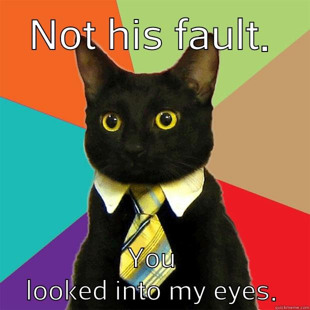 NOT HIS FAULT. YOU LOOKED INTO MY EYES. Business Cat