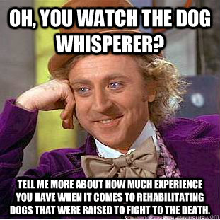 Oh, you watch the dog whisperer? Tell me more about how much experience you have when it comes to rehabilitating dogs that were raised to fight to the death.  Condescending Wonka