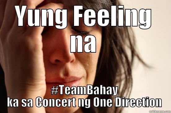 YUNG FEELING NA #TEAMBAHAY KA SA CONCERT NG ONE DIRECTION First World Problems