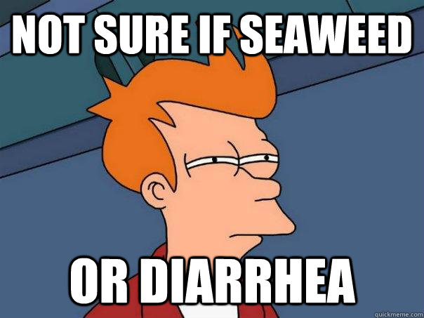 Not sure if seaweed Or diarrhea  Futurama Fry