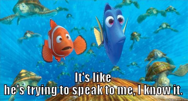 better version -  IT'S LIKE HE'S TRYING TO SPEAK TO ME, I KNOW IT. Misc
