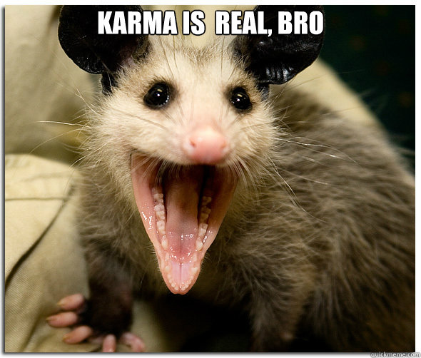 karma is  real, bro   Over-Excited Possum