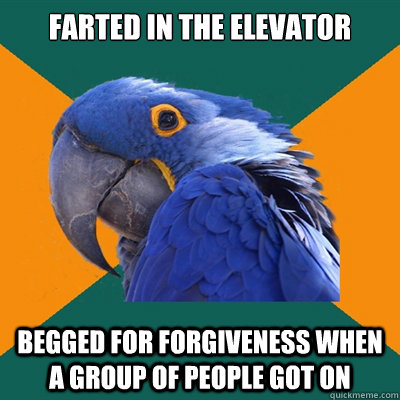 farted in the elevator begged for forgiveness when a group of people got on   Paranoid Parrot