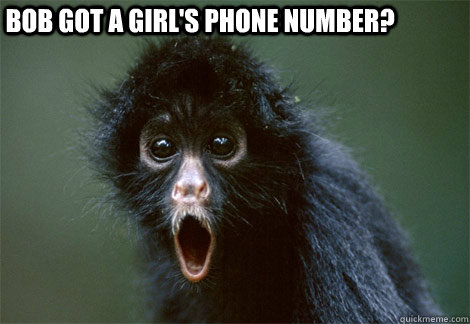 Bob got a girl's phone number?  