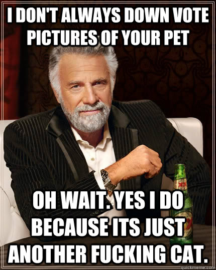 I Don't always down vote pictures of your pet oh wait. yes i do because its just another fucking cat.  The Most Interesting Man In The World