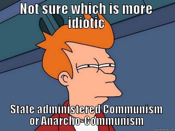 NOT SURE WHICH IS MORE IDIOTIC STATE ADMINISTERED COMMUNISM OR ANARCHO-COMMUNISM Futurama Fry