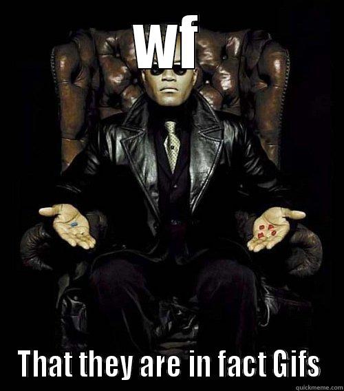 WF THAT THEY ARE IN FACT GIFS Morpheus