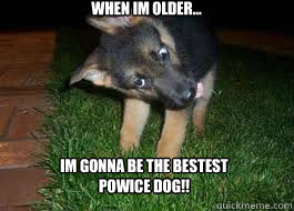 When im older... im gonna be the bestest powice dog!!  retarded popo dog