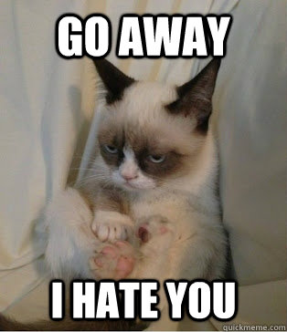 go away i hate you - go away i hate you  grumpy cat sits