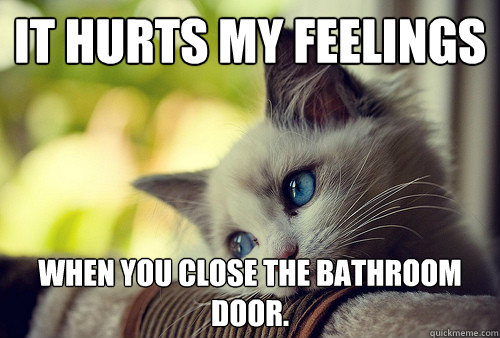 It hurts my feelings when you close the bathroom door. - It hurts my feelings when you close the bathroom door.  First World Cat Problems