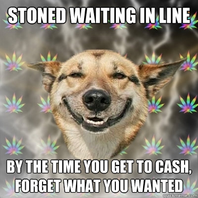 Stoned Waiting in Line By the time you get to cash, forget what you wanted  Stoner Dog