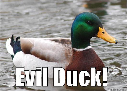  EVIL DUCK! Actual Advice Mallard