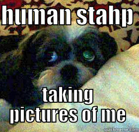 HUMAN STAHP  TAKING PICTURES OF ME Misc