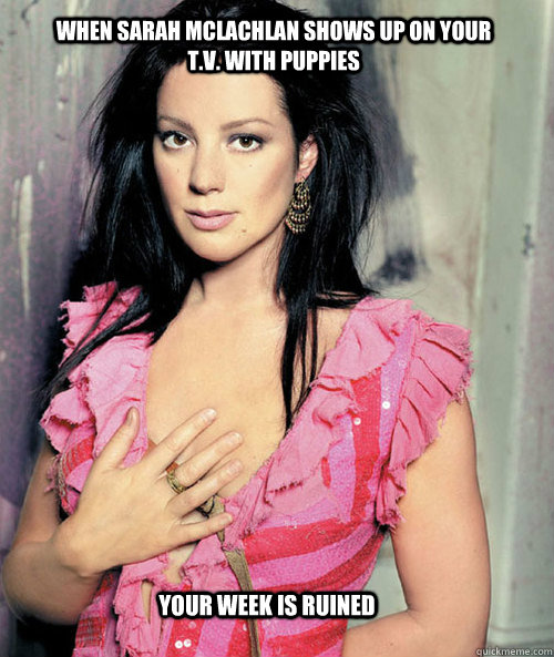 When Sarah Mclachlan shows up on your T.V. with puppies Your week is ruined  