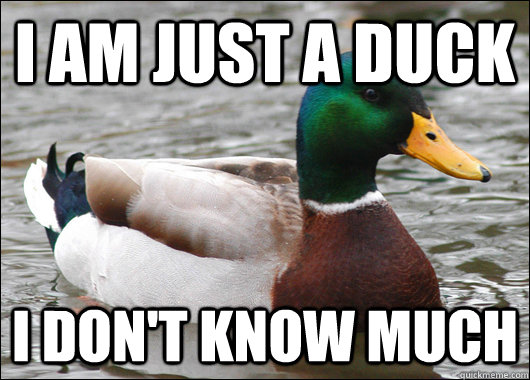 I am just a duck I don't know much  Actual Advice Mallard