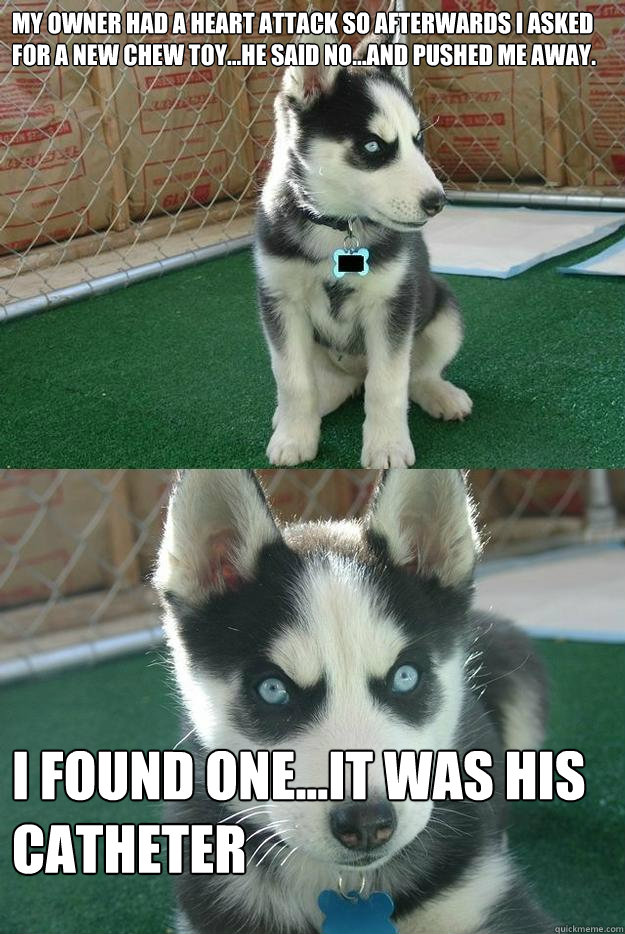 my owner had a heart attack so afterwards i asked for a new chew toy...he said no...and pushed me away. i found one...it was his catheter  Insanity puppy