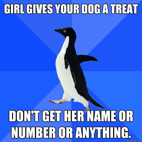 girl gives your dog a treat don't get her name or number or anything.  Socially Awkward Penguin