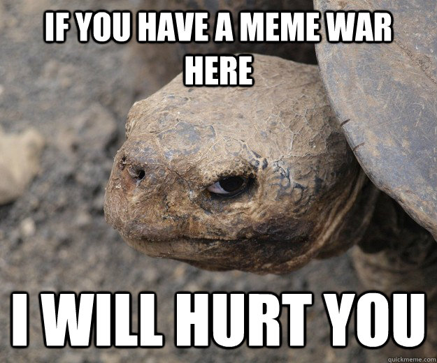 if you have a meme war here i will hurt you - if you have a meme war here i will hurt you  Murder Turtle