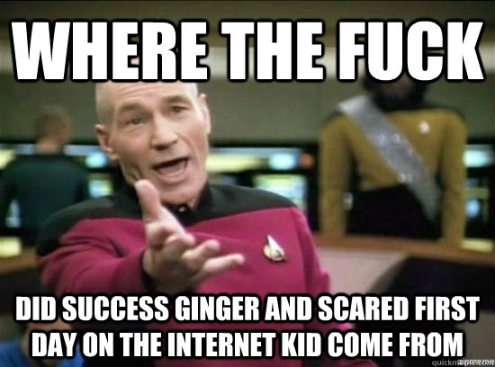 Where the fuck Did success ginger and scared first day on the internet kid come from  Annoyed Picard HD