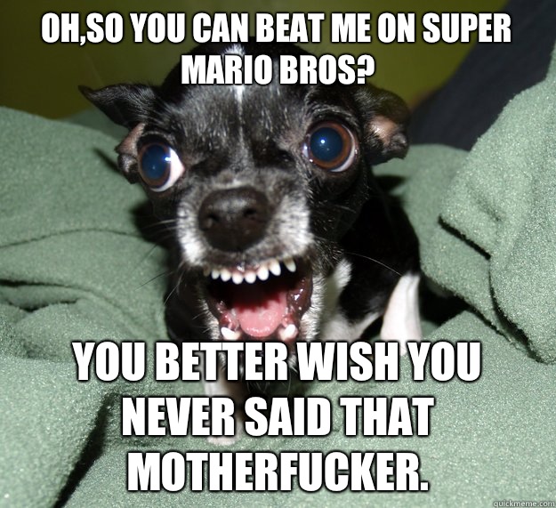Oh,so you can beat me on Super Mario Bros? You better wish you never said that motherfucker.  Chihuahua Logic