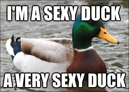 I'm a sexy duck A very sexy duck - I'm a sexy duck A very sexy duck  Actual Advice Mallard