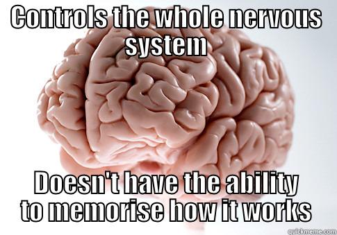 CONTROLS THE WHOLE NERVOUS SYSTEM DOESN'T HAVE THE ABILITY TO MEMORISE HOW IT WORKS Scumbag Brain