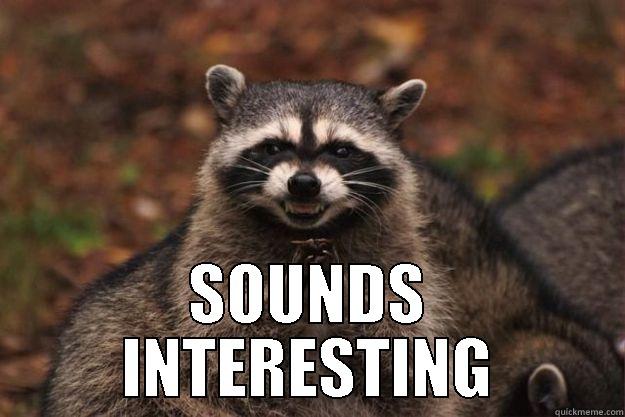  SOUNDS INTERESTING Evil Plotting Raccoon