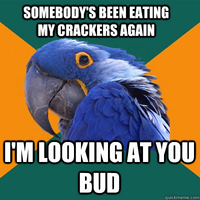 Somebody's been eating my crackers again I'm looking at you bud  Paranoid Parrot