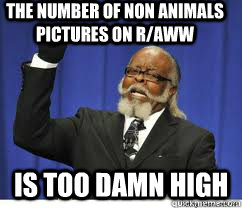the number of non animals pictures on r/aww is too damn high  to damn high