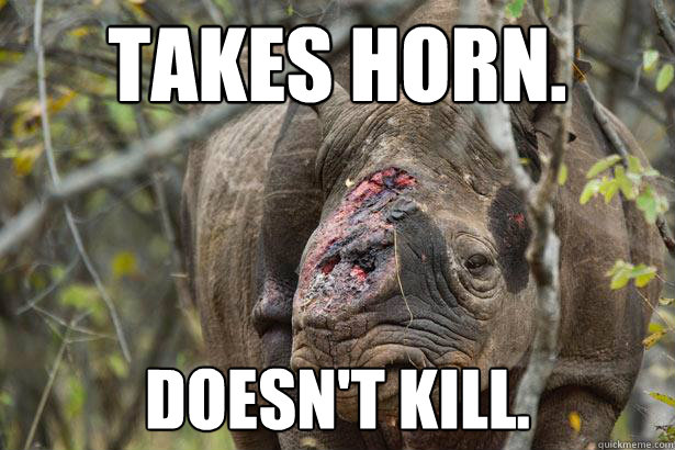 Takes horn. Doesn't kill. - Takes horn. Doesn't kill.  wtf rhino