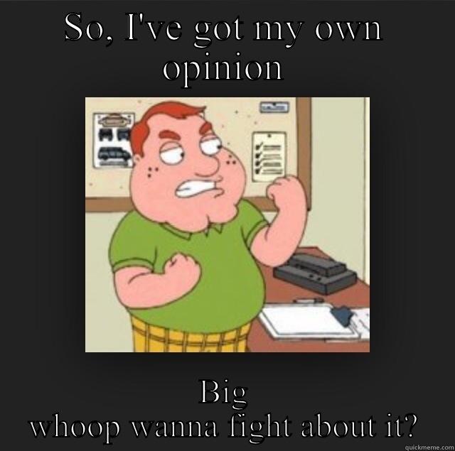 SO, I'VE GOT MY OWN OPINION BIG WHOOP WANNA FIGHT ABOUT IT? Super Cool Ski Instructor