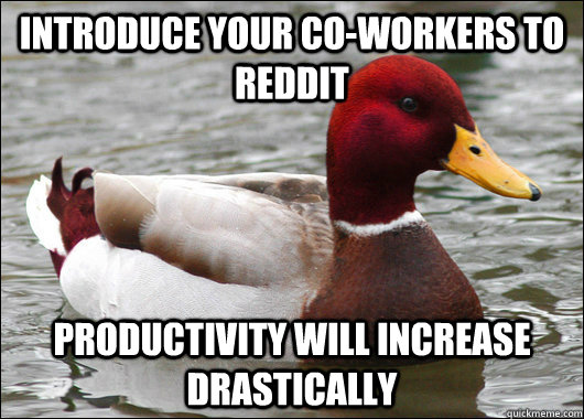 Introduce your co-workers to reddit Productivity will increase drastically  Malicious Advice Mallard