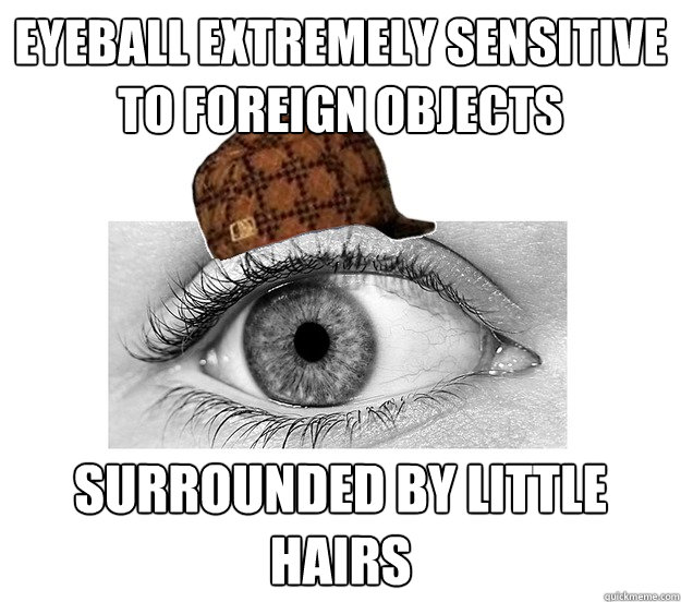 Eyeball extremely sensitive to foreign objects Surrounded by little hairs  