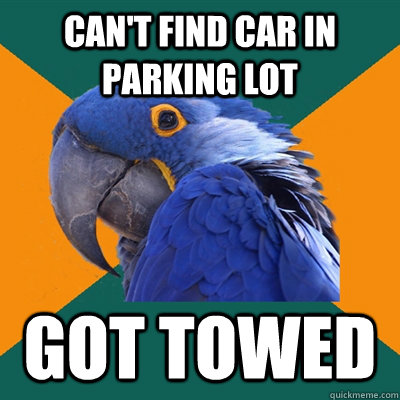 Can't find car in parking lot got towed  Paranoid Parrot