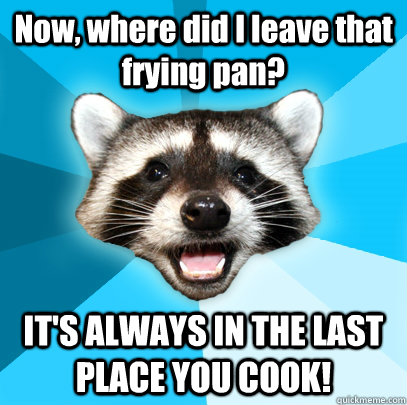 Now, where did I leave that frying pan? IT'S ALWAYS IN THE LAST PLACE YOU COOK!  Lame Pun Coon