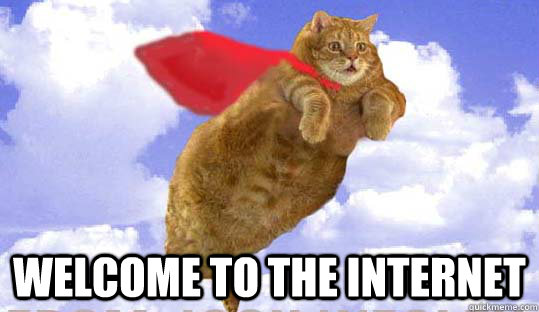  Welcome to the internet -  Welcome to the internet  Fat flying cat