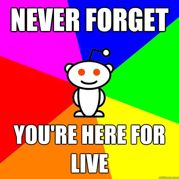 Never Forget You're here for live  Reddit Alien