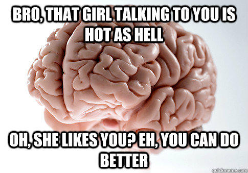 Bro, that girl talking to you is hot as hell Oh, she likes you? Eh, you can do better  Scumbag Brain