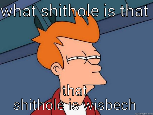 shitty wisbech  - WHAT SHITHOLE IS THAT  THAT SHITHOLE IS WISBECH Futurama Fry